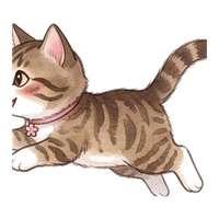 jump_run