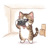 camera_hikkoshi