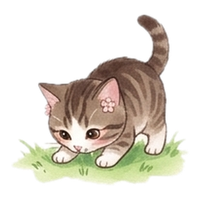 shibafu_02